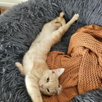 Photo of Ginny ❤️