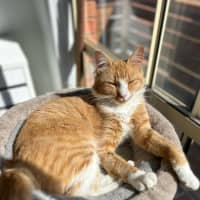 Photo of Freddie 🧡