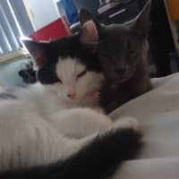Photo of Aurora (With Mirabelle)