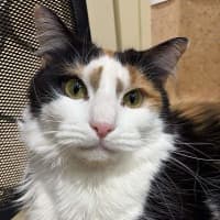 Photo of Ruby