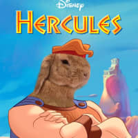 Photo of Hercules