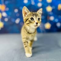 Photo of Bill   Located In Preston 