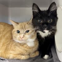 Photo of Lexie & Frank