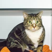 Photo of Cash