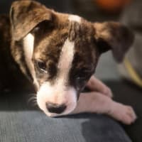 Photo of Ginny