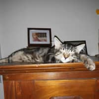 Photo of Spirit