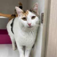 Photo of Quinnie