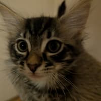 Photo of Will
