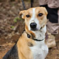 Photo of 🌼 Daisy 6367 🌼