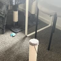 Photo of Odie N Dawn