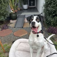 Photo of Thea