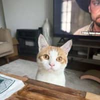 Photo of Clive