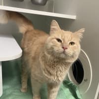 Photo of Cloudy
