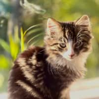 Photo of Jasper