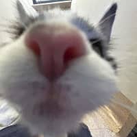 Photo of Vicki