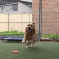 Photo of Charlie