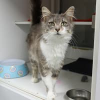 Photo of Rosie