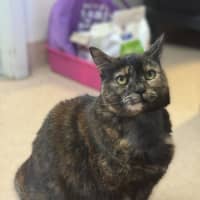 Photo of Anya