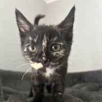 Photo of Ramona