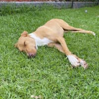 Photo of Matilda