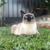 Photo of Ralph