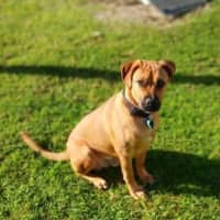 Photo of Alf