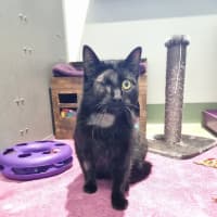 Photo of Dread Pirate Roberts