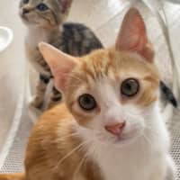 Photo of Maddox & Maverick