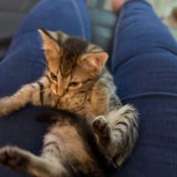 Photo of Rosie