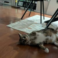 Photo of Bidey