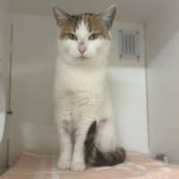 Photo of Alani