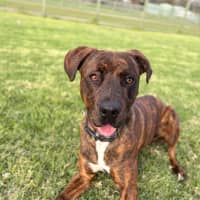 Photo of Taco