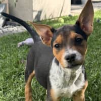 Photo of Asti