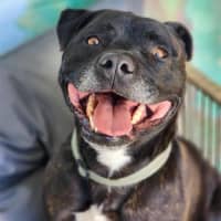 Photo of 🏈 Max 6706 🏈