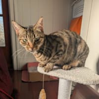 Photo of Cleopatra