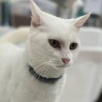 Photo of Moffy (0899)