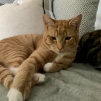 Photo of Sammy