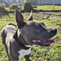 Photo of Drita (64202)