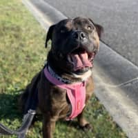 Photo of 🍃 Miguel 5402 🍃