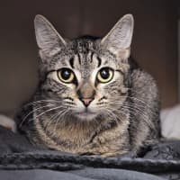 Photo of Allie