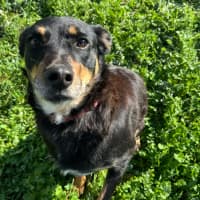 Photo of Coda