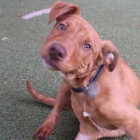 Photo of Winky