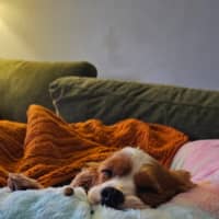 Photo of Lexi