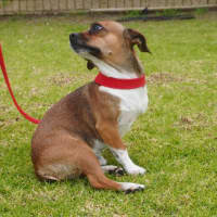 Photo of Titch