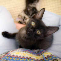 Photo of Jelly