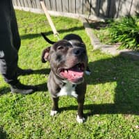 Photo of Billy   64074