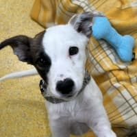 Photo of Keira