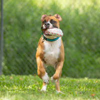 Photo of Bucky