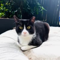 Photo of Gatsby 🌟