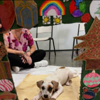 Photo of Millie